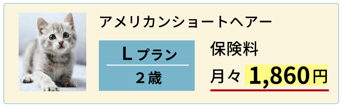 猫２歳Lプラン保険料例