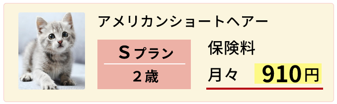 猫２歳Sプラン保険料例